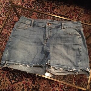 Lane Bryant Frayed Hem Denim Shorts